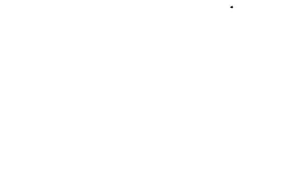 pegasus worldwide